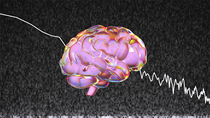 ai-tai-hien-hinh-anh-trong-nao-nguoi-5 Mô hình AI này có tên là Mind-Vis