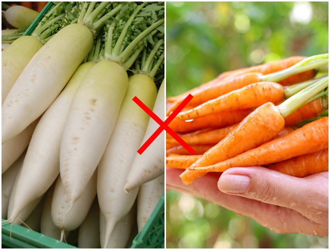 cu-cai-va-ca-rot Cà rốt không kết hợp với củ cải