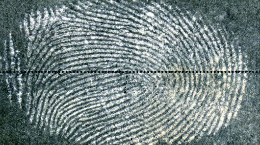fingerprints Bằng cách sử dụng chất béo và kỹ thuật tương phản đen trắng, phương pháp mới giúp hiển thị dấu vân tay rõ ràng hơn ngay cả trong môi trường giấy ướt.