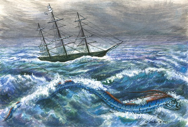 Cá Oarfish Loài "rồng biển" có khả năng dự báo động đất trôi vào biển Việt Nam