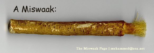 ban-chai-co-xua Khúc gỗ nhai Miswak.