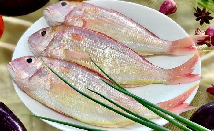 ca-huong Cá hường