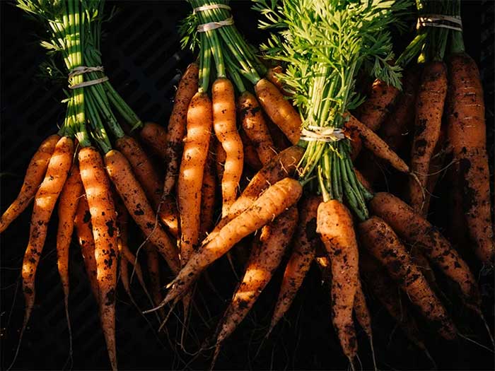 ca-rot Cà rốt