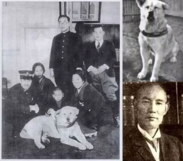 chu-cho-hachiko-2 Ảnh chụp Hachiko cùng gia đình Ueno