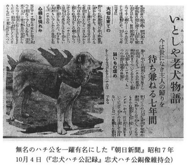 chu-cho-hachiko-4 Câu chuyện về Hachiko được đăng lên báo Asahi Shimbun năm 1932