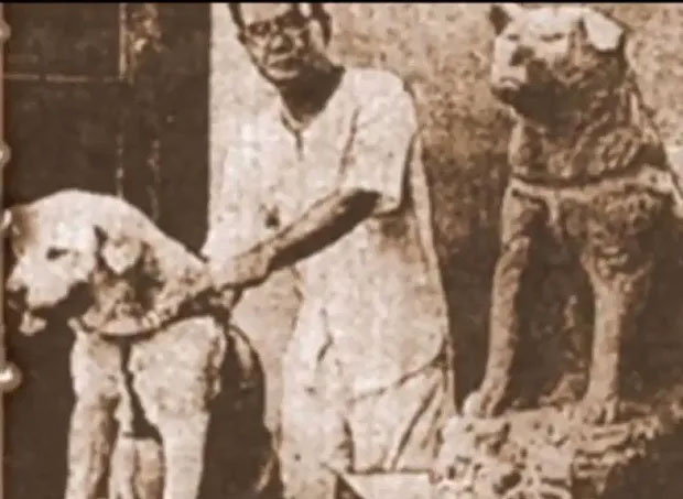 chu-cho-hachiko-5 Hachiko có cơ hội được dự lễ khánh thành bức tượng của chính mình