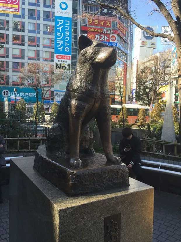 chu-cho-hachiko-6 Tượng của Hachiko ngày nay ở giữa trung tâm Tokyo