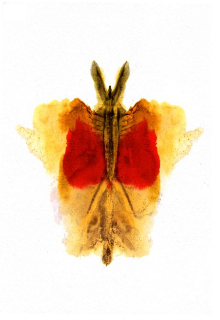 Bài trắc nghiệm tâm lý Hermann Rorschach Bài trắc nghiệm tâm lý Hermann Rorschach