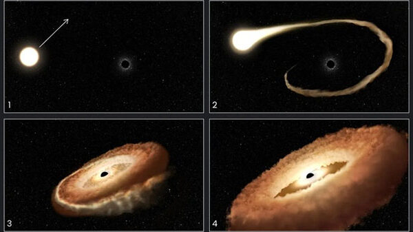 NASA ghi lại hình ảnh hố đen “ăn thịt” một ngôi sao