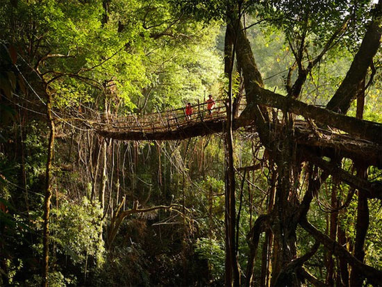 Cuộc sống kỳ lạ tại nơi “ẩm ướt nhất thế giới” Meghalaya - Nơi ẩm ướt nhất thế giới.
