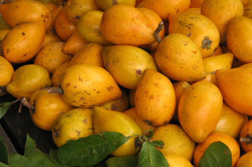 qua-trung-ga-1 Xanthophyll và vitamin C trong quả trứng gà tốt cho mắt.