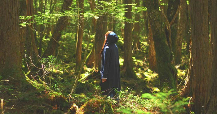 rung-aokigahara