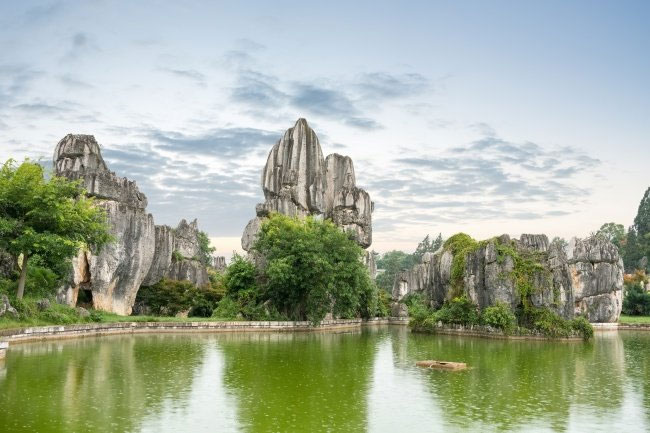 Rừng đá