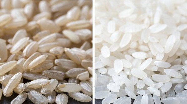 Top 3 loại gạo có thể khiến gan, thận tổn thương, “dẫn lối” ung thư