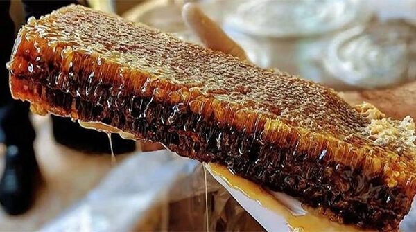 Loại mật ong đắt nhất thế giới, được mệnh danh là “mật ong của các vị thần”