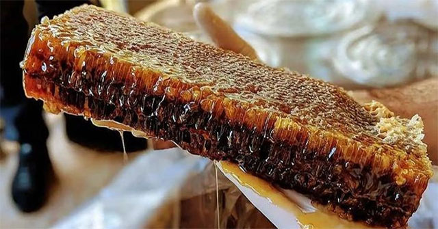Loại mật ong đắt nhất thế giới, được mệnh danh là “mật ong của các vị thần”