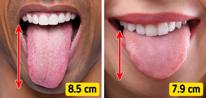 su-that-xung-quanh-1 Đàn ông có lưỡi dài hơn phụ nữ