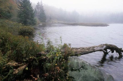 Tam giác Bennington là một vùng thuộc phía Tây Nam Vermont (Đông Bắc nước Mỹ) bao quanh là Núi Glastenbury. Đây cũng là nơi đã diễn ra hàng loạt các vụ mất tích bí ẩn trong 30 năm, từ 1920 tới 1950. Tam giác Bennington là một vùng thuộc phía Tây Nam Vermont (Đông Bắc nước Mỹ) bao quanh là Núi Glastenbury. Đây cũng là nơi đã diễn ra hàng loạt các vụ mất tích bí ẩn trong 30 năm, từ 1920 tới 1950.