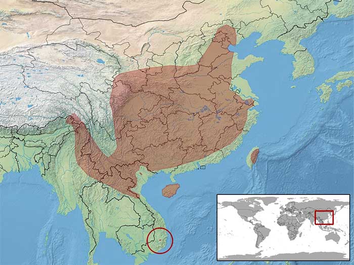 ban-do-phan-bo-ran-soc-quan Bản đồ phân bố khu vực sinh sống của loài rắn sọc quan