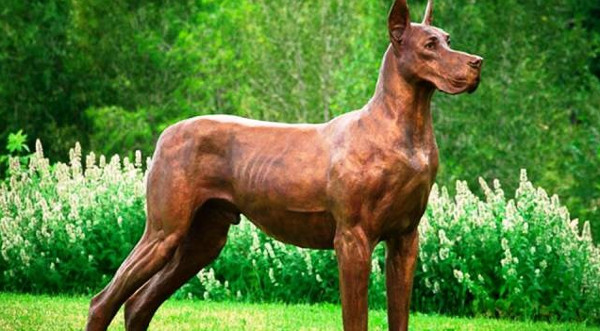 Điểm danh những giống chó nguy hiểm nhất thế giới Điểm danh những giống chó nguy hiểm nhất thế giới
