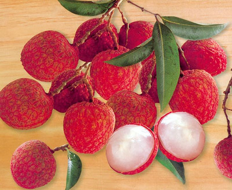 qua-vai-3 Vải giàu các chất thân thiện với làn da như thiamin, niacin và đồng.