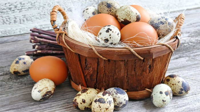 trung Không có sự khác biệt nhiều giữa các loại trứng gia cầm.