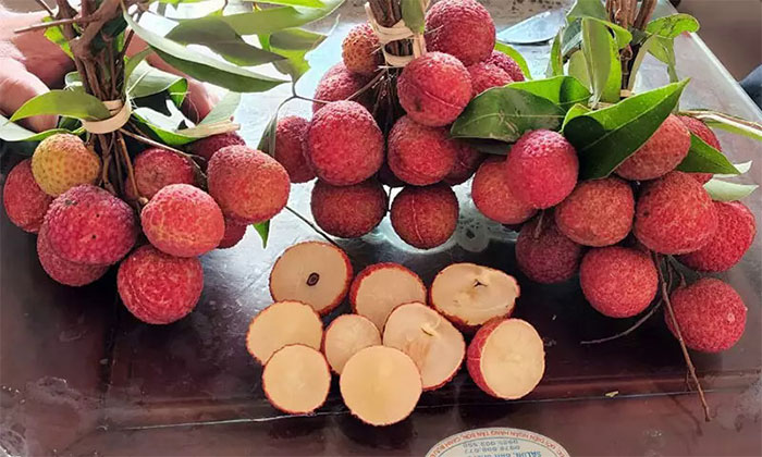 vai-thieu Vải thiều