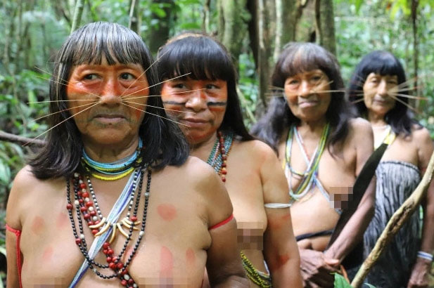 bo-lac-matses 4 người phụ nữ Matses đang đi săn.