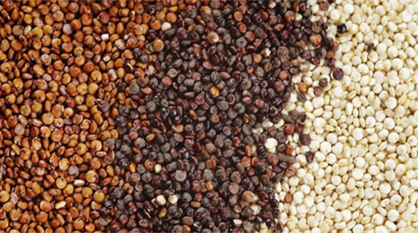 Hạt Quinoa là gì? Lợi ích vàng của hạt quinoa đối với sức khỏe