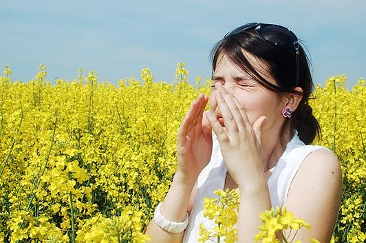 Sức nóng của mặt trời Lý giải nguyên nhân một số người hắt hơi khi nhìn thẳng vào mặt trời