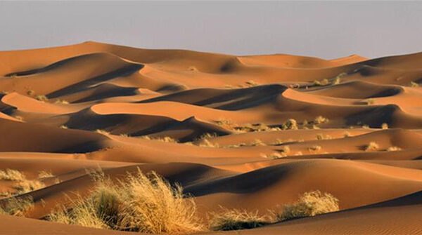 Dùng radar đo độ sâu sa mạc Sahara, các nhà khoa học phát hiện ra “thứ” khổng lồ bên dưới