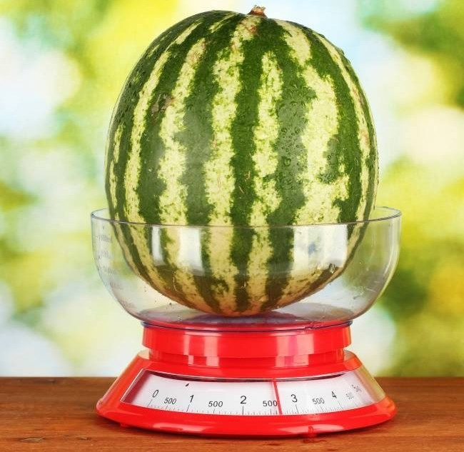 Nên chọn quả dưa có kích cỡ lớn 1 chút. Nên chọn quả dưa có kích cỡ lớn 1 chút.