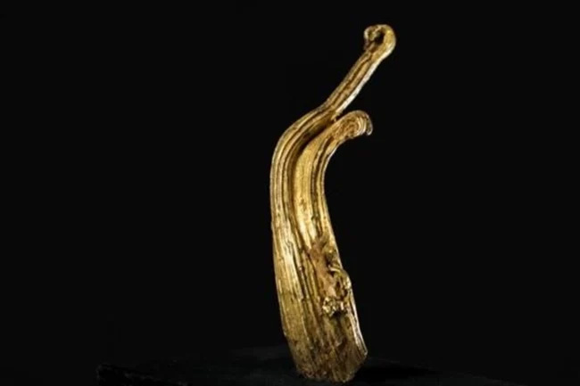 khoi-vang-rams-horn "Ram's Horn" có hình dạng bí ẩn giống như một chùm tua xoăn thay vì hạt vàng như thông thường.