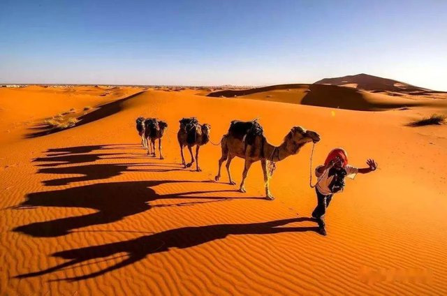 sa-mac-sahara-2 Độ sâu trung bình của sa mạc Sahara là khoảng 150m