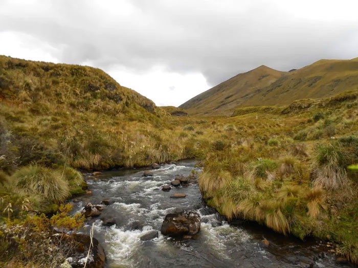 Khung cảnh nên thơ trong Vườn quốc gia Llanganatis ở Ecuador.